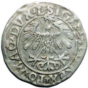 Obrazek 2 dla: Półgrosz 1558 Zygmunt II August Wilno