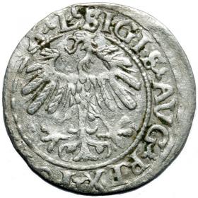 Obrazek 2 dla: Półgrosz 1559 Zygmunt II August Wilno