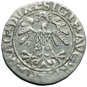 Obrazek 2 dla: Półgrosz 1559 Zygmunt II August Wilno