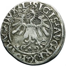 Obrazek 2 dla: Półgrosz 1559 Zygmunt II August Wilno