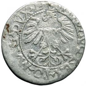 Obrazek 2 dla: Półgrosz 1560 Zygmunt II August Wilno