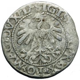 Obrazek 2 dla: Półgrosz 1560 Zygmunt II August Wilno