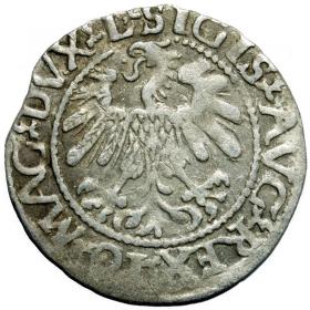 Obrazek 2 dla: Półgrosz 1560 Zygmunt II August Wilno