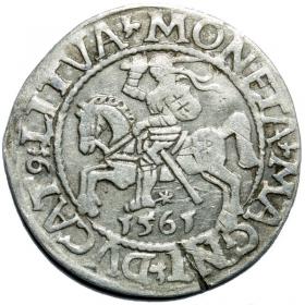 Obrazek dla: Półgrosz 1561 Zygmunt II August Wilno