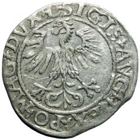 Obrazek 2 dla: Półgrosz 1561 Zygmunt II August Wilno