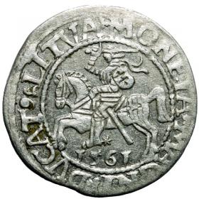 Obrazek dla: Półgrosz 1561 Zygmunt II August Wilno