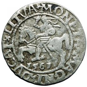 Obrazek dla: Półgrosz 1561 Zygmunt II August Wilno