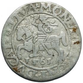 Obrazek dla: Półgrosz 1561 Zygmunt II August Wilno