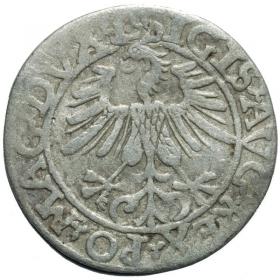 Obrazek 2 dla: Półgrosz 1561 Zygmunt II August Wilno