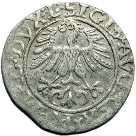 Obrazek 2 dla: Półgrosz 1561 Zygmunt II August Wilno