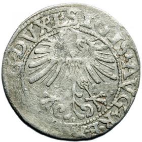 Obrazek 2 dla: Półgrosz 1562 Zygmunt II August Wilno