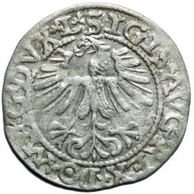 Obrazek 2 dla: Półgrosz 1562 Zygmunt II August Wilno