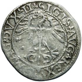 Obrazek 2 dla: Półgrosz 1562 Zygmunt II August Wilno