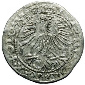 Obrazek 2 dla: Półgrosz 1564 Zygmunt II August Wilno