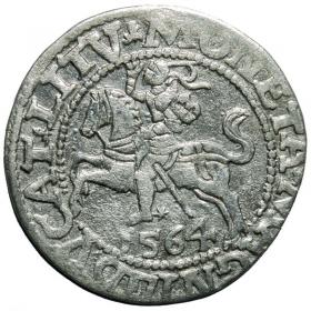 Obrazek dla: Półgrosz 1564 Zygmunt II August Wilno