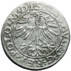 Obrazek 2 dla: Półgrosz 1564 Zygmunt II August Wilno