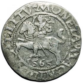 Obrazek dla: Półgrosz 1565 Zygmunt II August Wilno