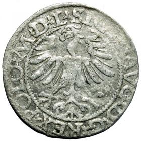 Obrazek 2 dla: Półgrosz 1565 Zygmunt II August Wilno