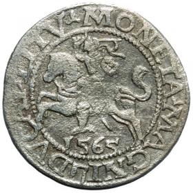 Obrazek dla: Półgrosz 1565 Zygmunt II August Wilno