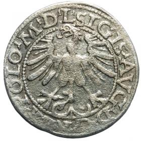 Obrazek 2 dla: Półgrosz 1565 Zygmunt II August Wilno