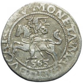 Obrazek dla: Półgrosz 1565 Zygmunt II August Wilno