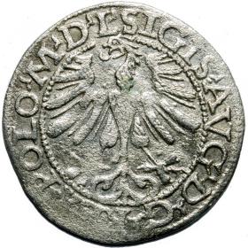 Obrazek 2 dla: Półgrosz 1565 Zygmunt II August Wilno