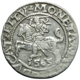 Obrazek dla: Półgrosz 1565 Zygmunt II August Wilno