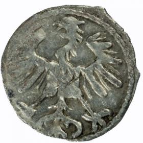 Obrazek 2 dla: Denar 1557 Zygmunt II August Wilno