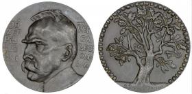 Obrazek dla: Józef Piłsudski Twórca Legionów 1917