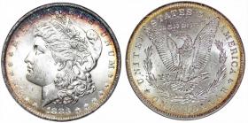 Obrazek 2 dla: 1 dolar 1883 USA grading NGC MS63