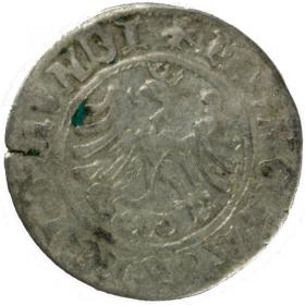 Obrazek 2 dla: Półgrosz 1507 Zygmunt I Stary Kraków