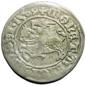 Obrazek dla: Półgrosz 1509 Zygmunt I Stary Wilno