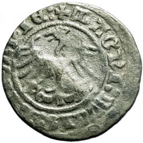 Obrazek 2 dla: Półgrosz 1512 Zygmunt I Stary Wilno