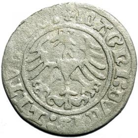 Obrazek 2 dla: Półgrosz 1512 Zygmunt I Stary Wilno