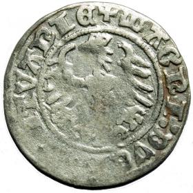 Obrazek 2 dla: Półgrosz 1514 Zygmunt I Stary Wilno