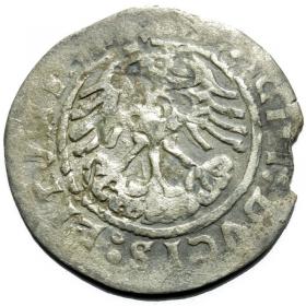 Obrazek 2 dla: Półgrosz 1519 Zygmunt I Stary Wilno