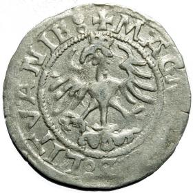 Obrazek 2 dla: Półgrosz 1521 Zygmunt I Stary Wilno