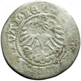 Obrazek 2 dla: Półgrosz Zygmunt I Stary Wilno