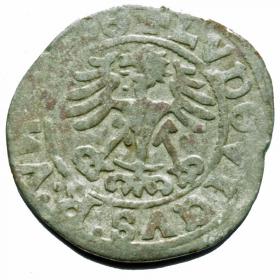 Obrazek 2 dla: Półgrosz Ludwik I Jagiellończyk Świdnica