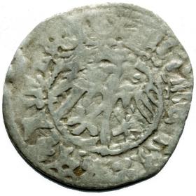 Obrazek 2 dla: Półgrosz Kazimierz Jagiellończyk Kraków