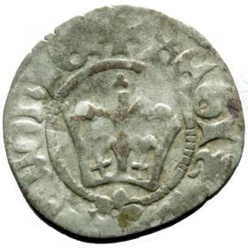 Obrazek dla: Półgrosz Jan Olbracht Kraków