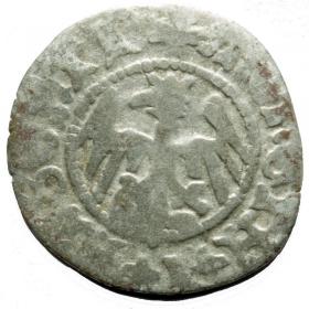 Obrazek 2 dla: Półgrosz Jan Olbracht Kraków