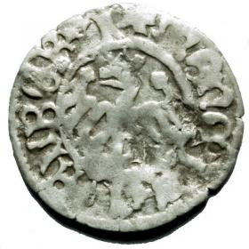 Obrazek 2 dla: Półgrosz Jan Olbracht Kraków