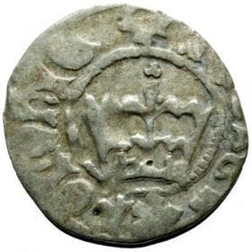 Obrazek dla: Półgrosz Jan Olbracht Kraków