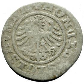 Obrazek 2 dla: Półgrosz Zygmunt I Stary Kraków