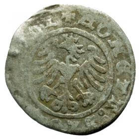 Obrazek 2 dla: Półgrosz Zygmunt I Stary Kraków