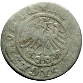 Obrazek 2 dla: Półgrosz 1507 Zygmunt I Stary Kraków