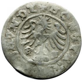 Obrazek 2 dla: Półgrosz 1508 Zygmunt I Stary Kraków