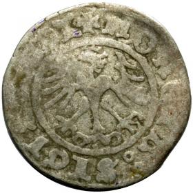 Obrazek 2 dla: Półgrosz 1511 Zygmunt I Stary Kraków