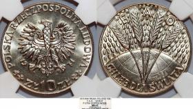Obrazek dla: 10 złotych 1971 FAO Chleb dla świata próba GRADING